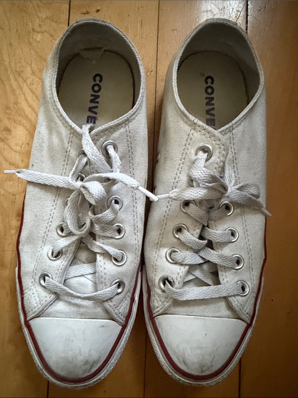 Converse Chuck Taylor Allstar Low Top Sneakers - Picture 2 of 6